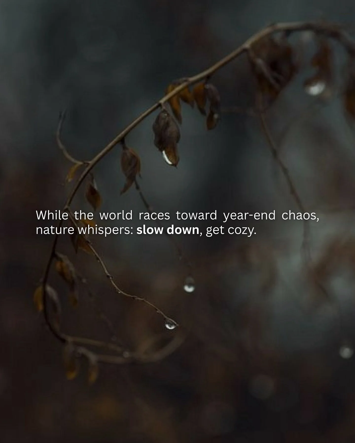 ✨ Join our February 2026 cohort
🔗 Link in bio