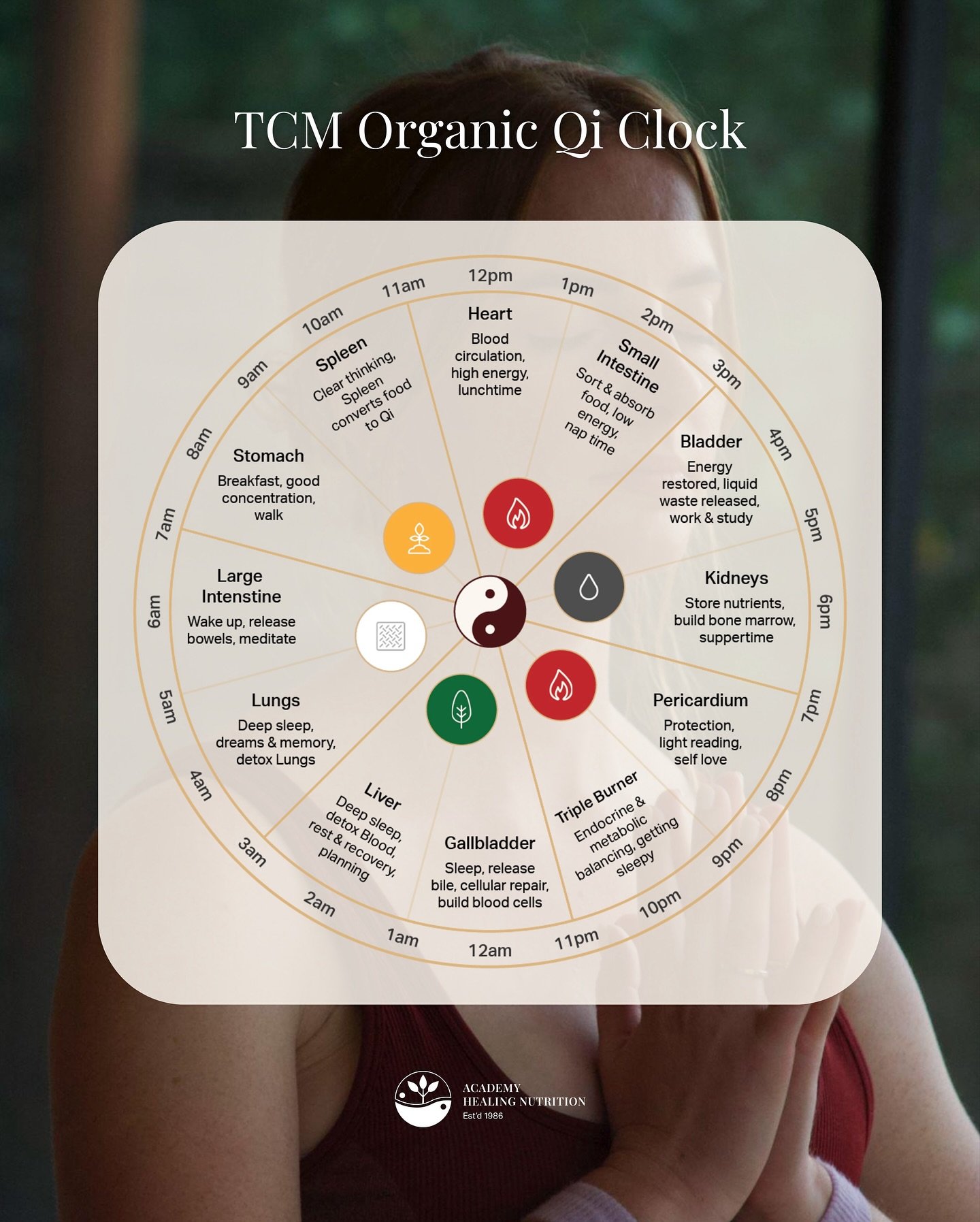 In Traditional Chinese Medicine, each organ system has a 2-hour window when its energy peaks. Understanding your body&rsquo;s Qi clock can help you optimize your daily routine&mdash;from when to eat your biggest meal (Stomach time: 7-9am) to when to 
