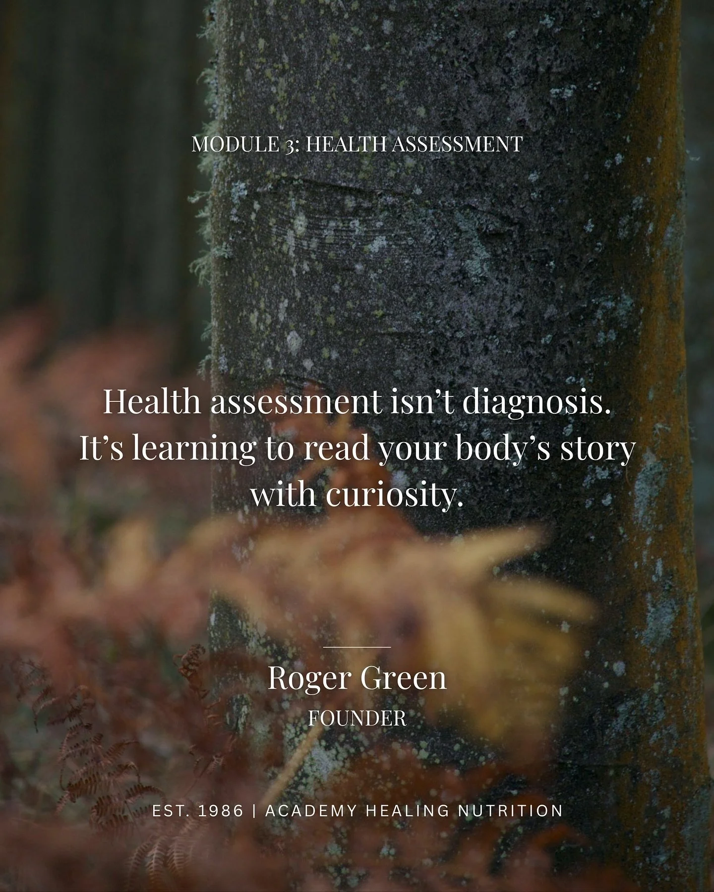In our holistic health course, we guide you through time-tested modalities that honor the wisdom of both body and nature. Module 3 takes you deep into Eastern Health Assessment&mdash;ancient, time-tested techniques that teach you to read the subtle s