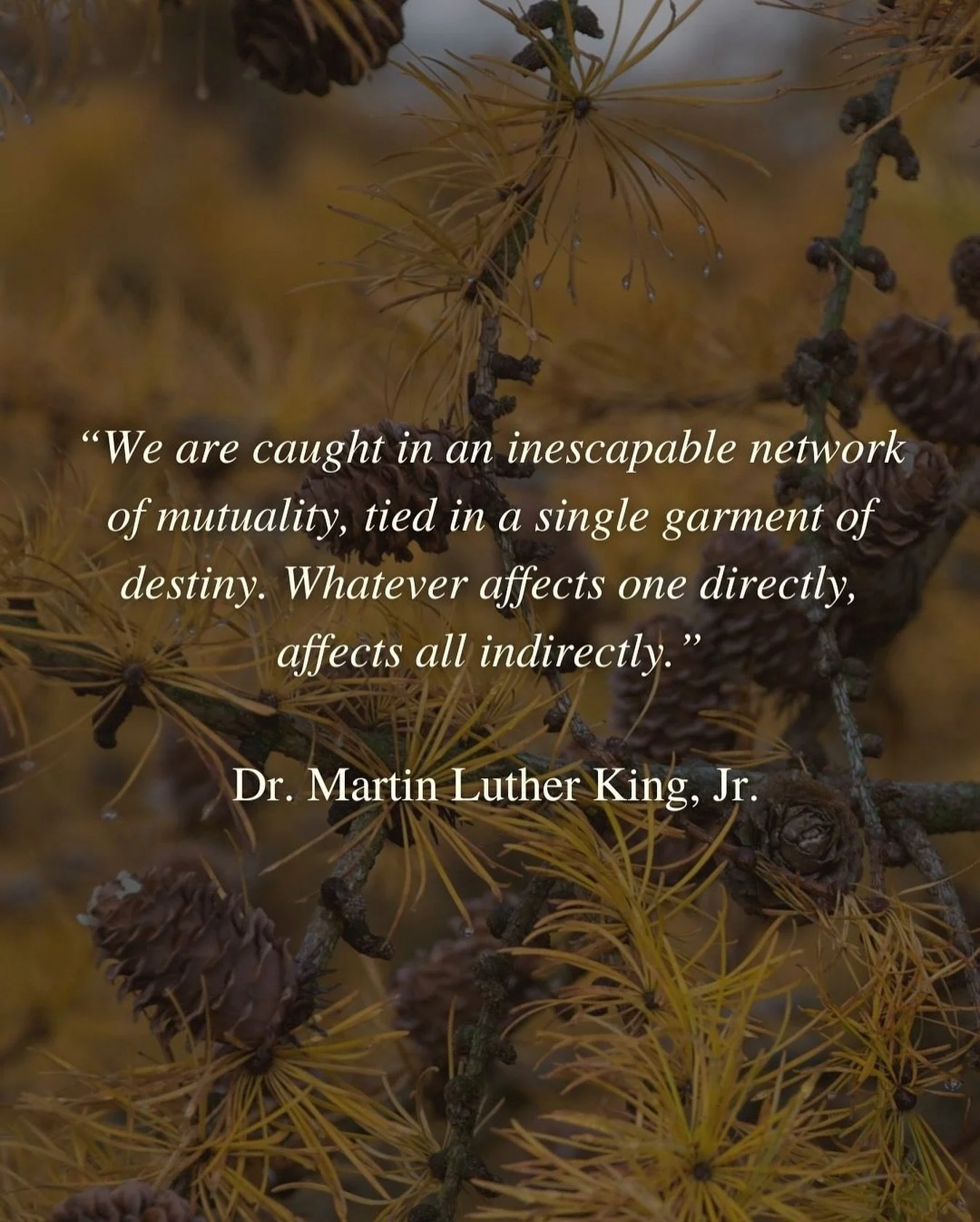 We are all interconnected, together, as a part of nature. Only as a collective can we have the power to raise consciousness to prosper.⁠
⁠
Let&rsquo;s take this opportunity to reflect on; &ldquo;Life&rsquo;s most persistent and urgent question is, Wh