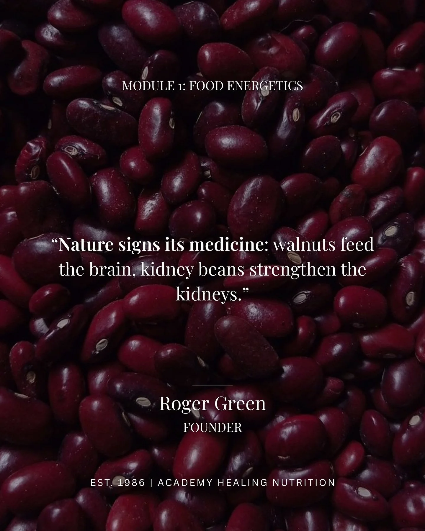 This is Module 1.. where everything clicks.

Founder @RogerGreenOfficial teaches you to see what&rsquo;s been hiding in plain sight: the language of food energetics. The doctrine of signatures. The ancient wisdom that understood healing thousands of 