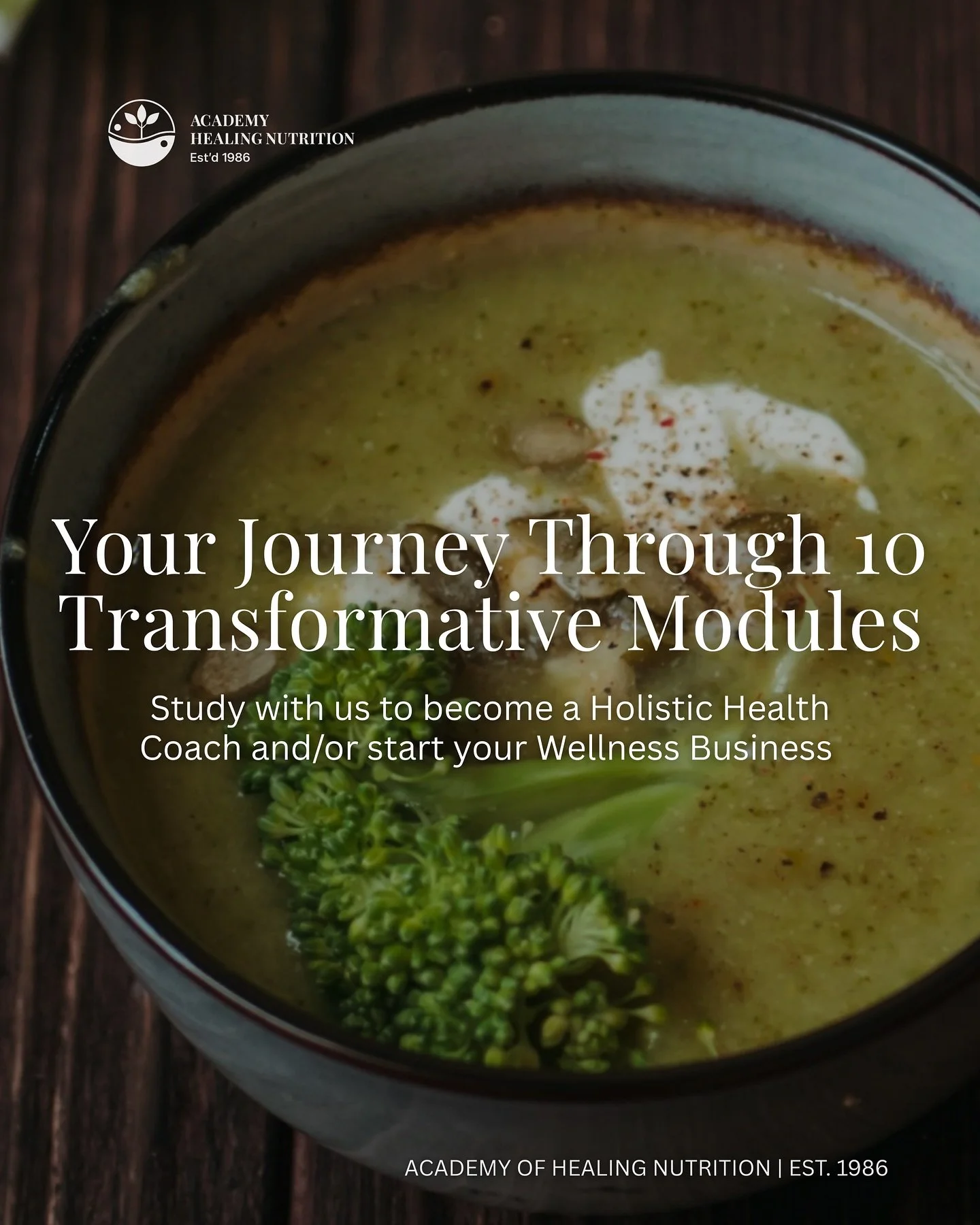 Ever wondered what it takes to become a certified holistic health coach? Let us walk you through our 10 transformative modules - each one designed to deepen your knowledge of Traditional Chinese Medicine, Ayurveda, tonic herbalism, and so much more.
