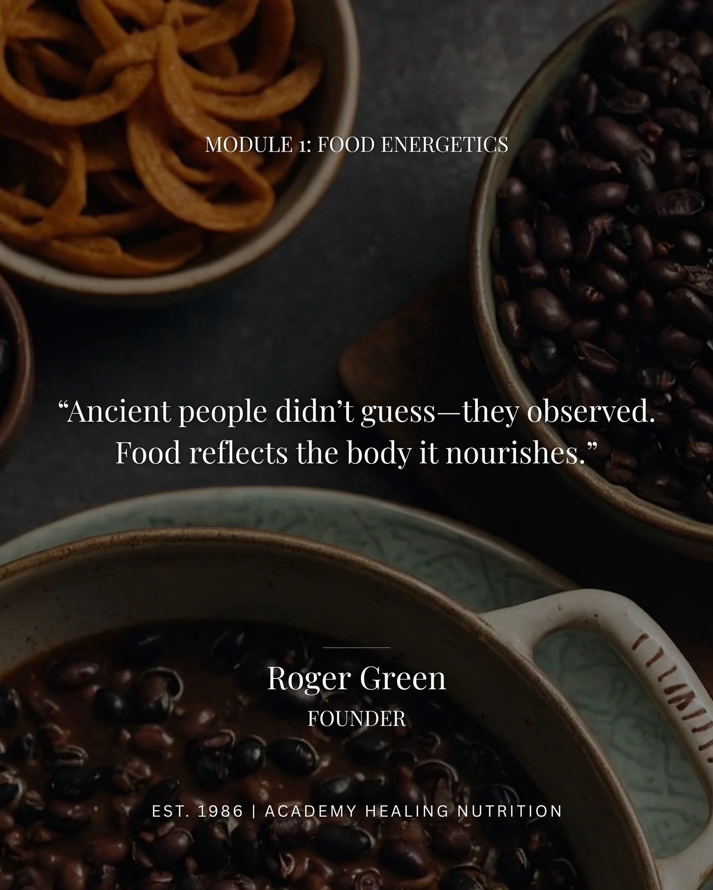 For over 40 years, Academy Healing Nutrition has been teaching the foundational principles that cultures of longevity have used for millennia&mdash;not wellness trends, but ancient practices that actually work.

Our comprehensive 12-month programme i