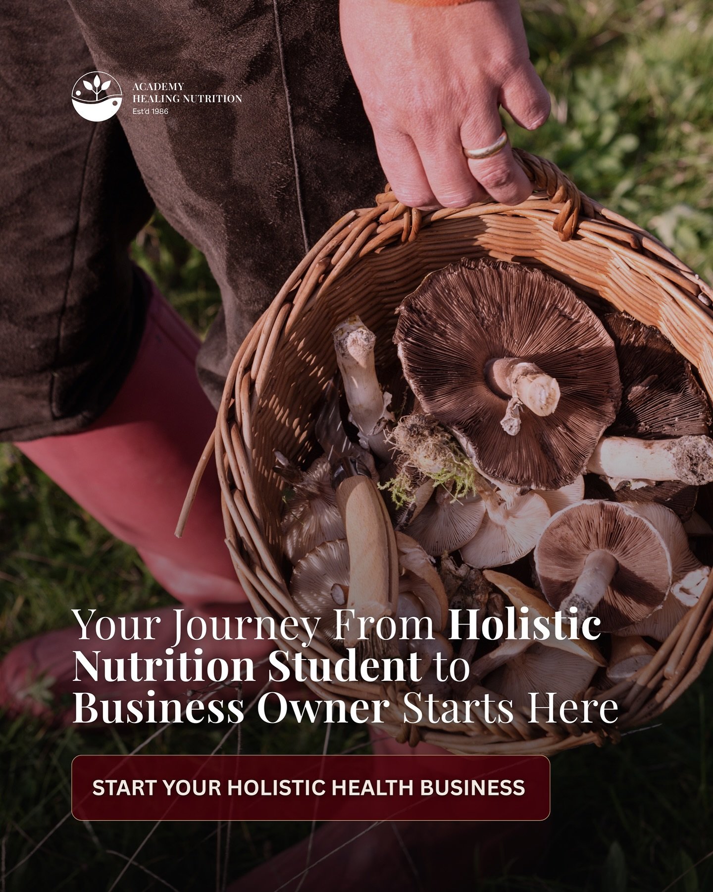 In Traditional Chinese Medicine (one of the modalities we teach at AHN) Spring belongs to the Wood element &mdash; the Liver awakening, the body shedding what winter stored, turning toward growth, clarity, and vision.

At the Academy Healing Nutritio