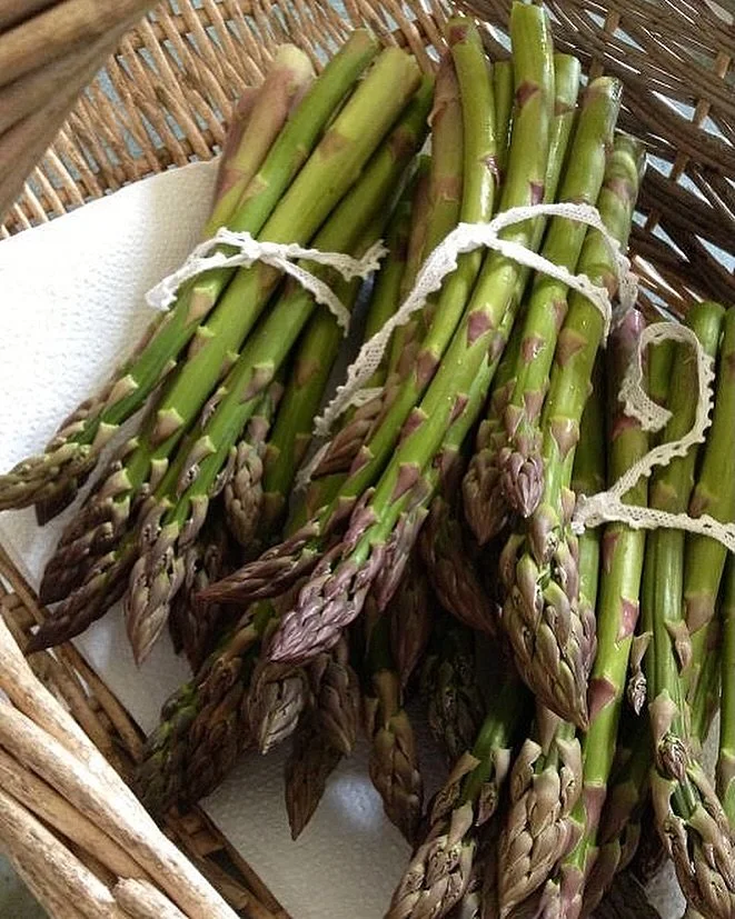 Asparagus arrives once a year and your body knows it. In TCM, it is cooling and bitter, a tonic for the lungs and kidneys, one of the best foods for clearing accumulated heat after winter. In Ayurveda, sattvic and deeply rejuvenating. In Western scie