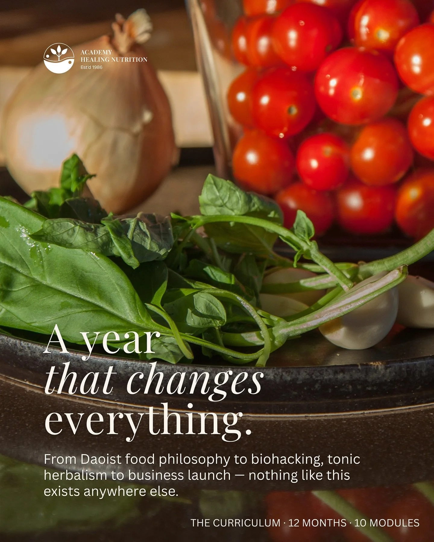 10 modules. 12 months. A career built on meaning. The AHN curriculum is the only one in the world that unites TCM, Ayurveda, tonic herbalism, longevity science, and practical business coaching under one certification. 

Swipe to see what you&rsquo;ll