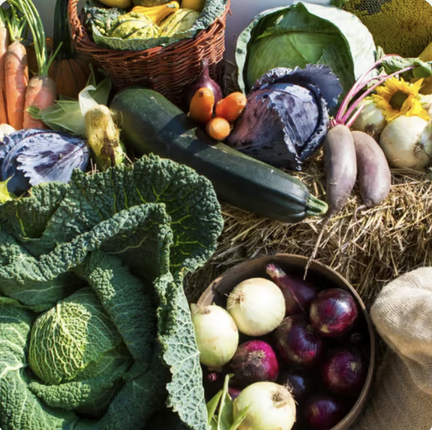 When Food Becomes Medicine: A Free Lecture in Food Energetics &amp; Longevity