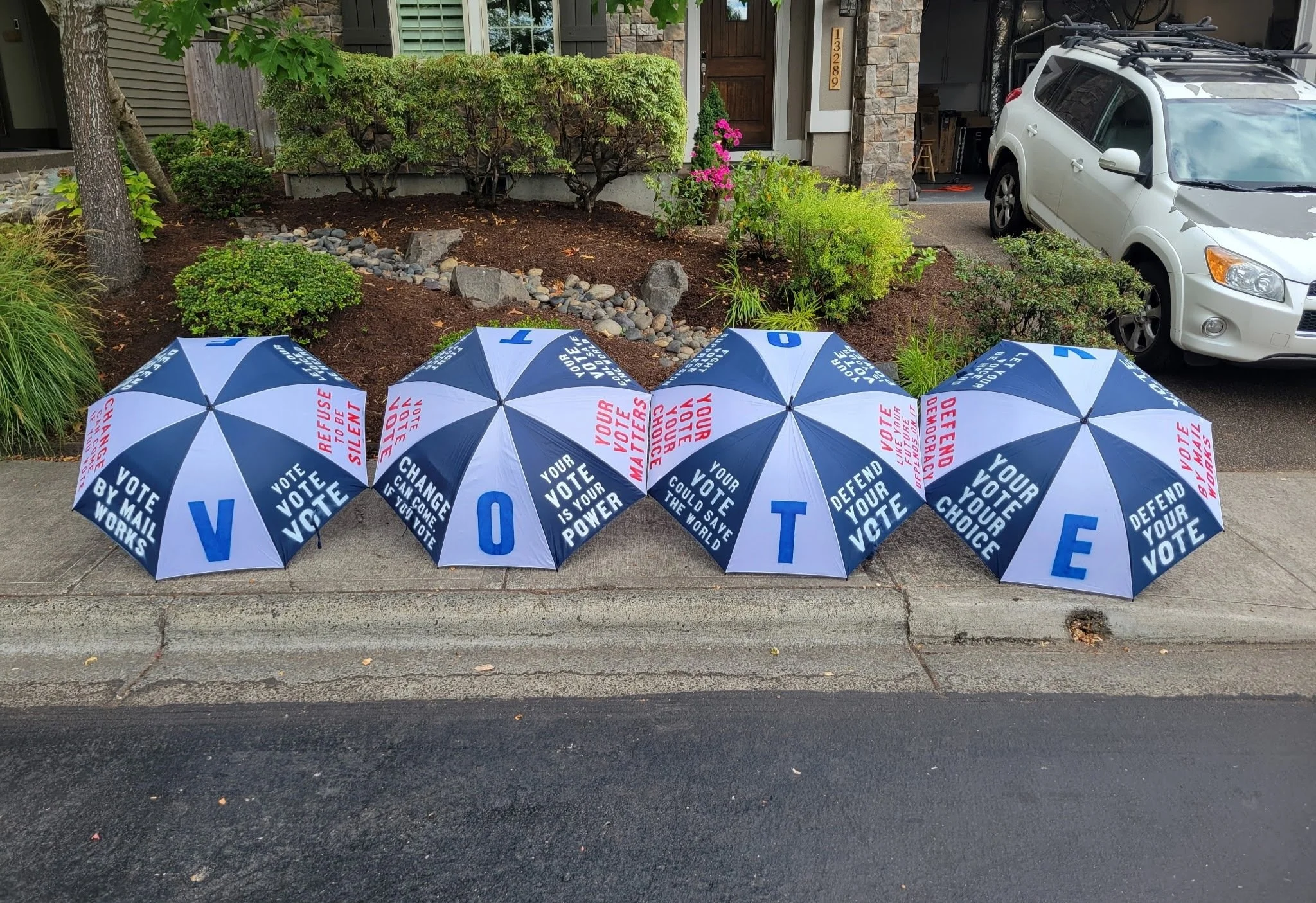 vote-umbrellas.jpg
