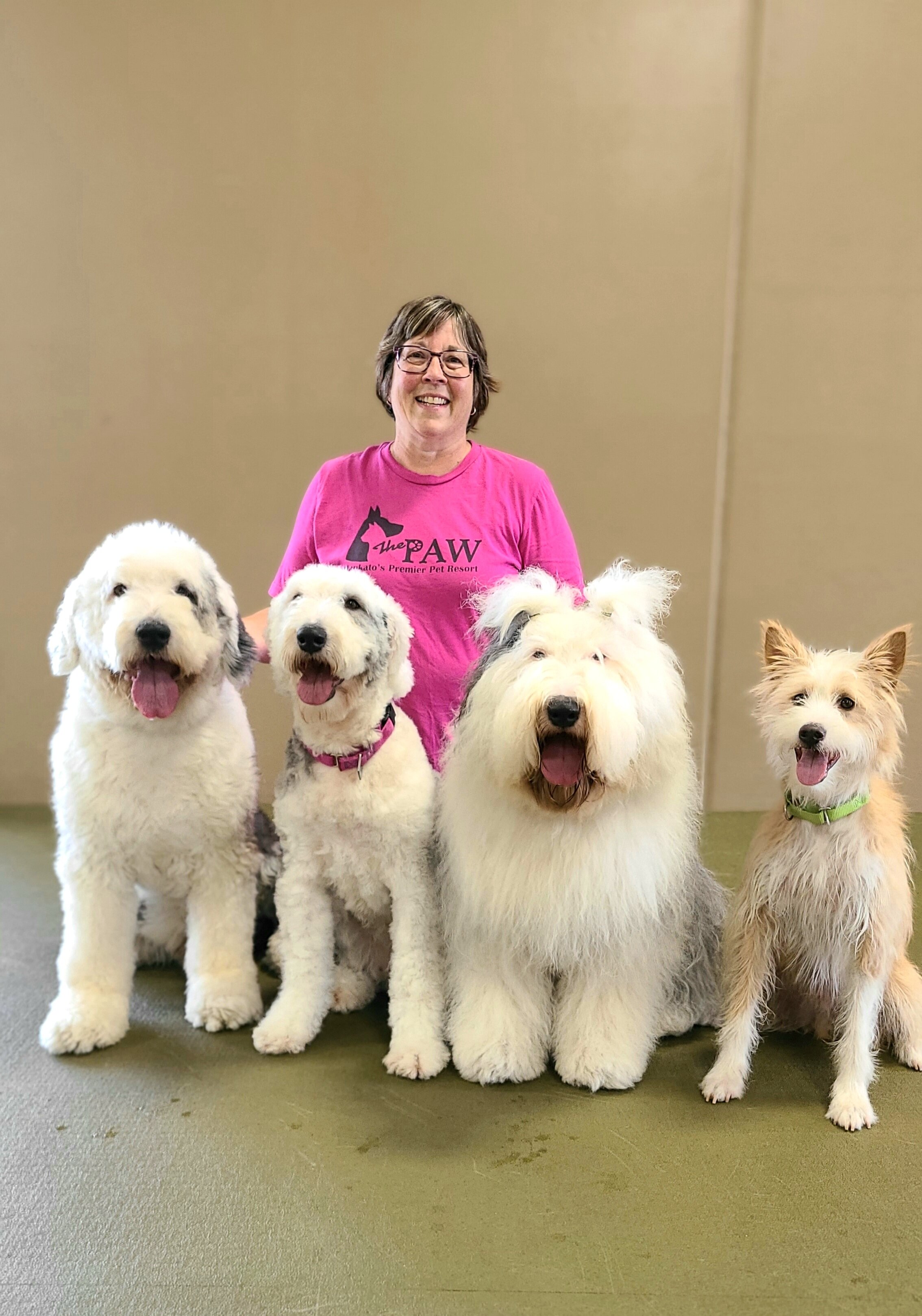 Is Dawn Okay To Use On Dogs