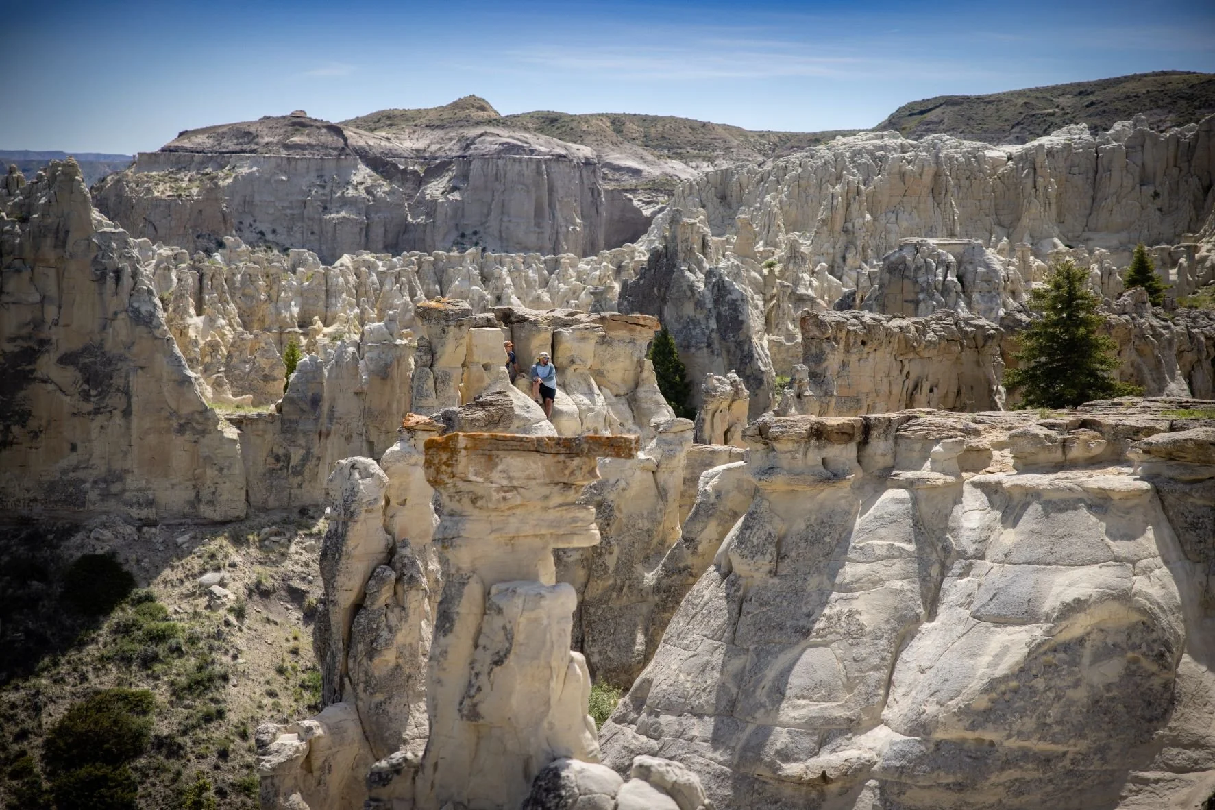Upper Missouri River Guides Montana Best River Trip