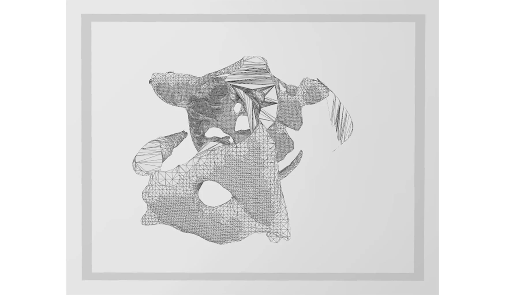 Scan archive.jpg