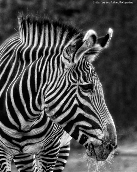 Screen Shot 2019-11-24 at 11.21.11 AM.png