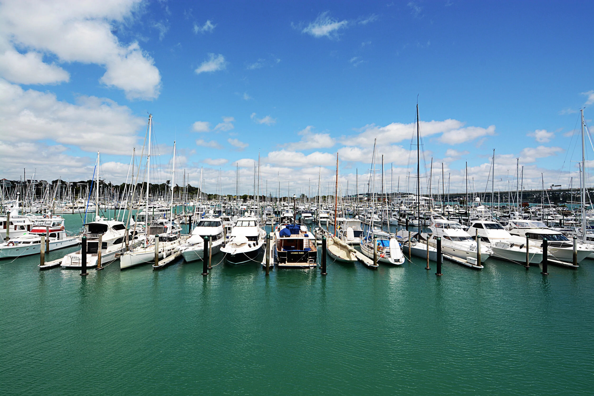 DSC_7494_2.jpg