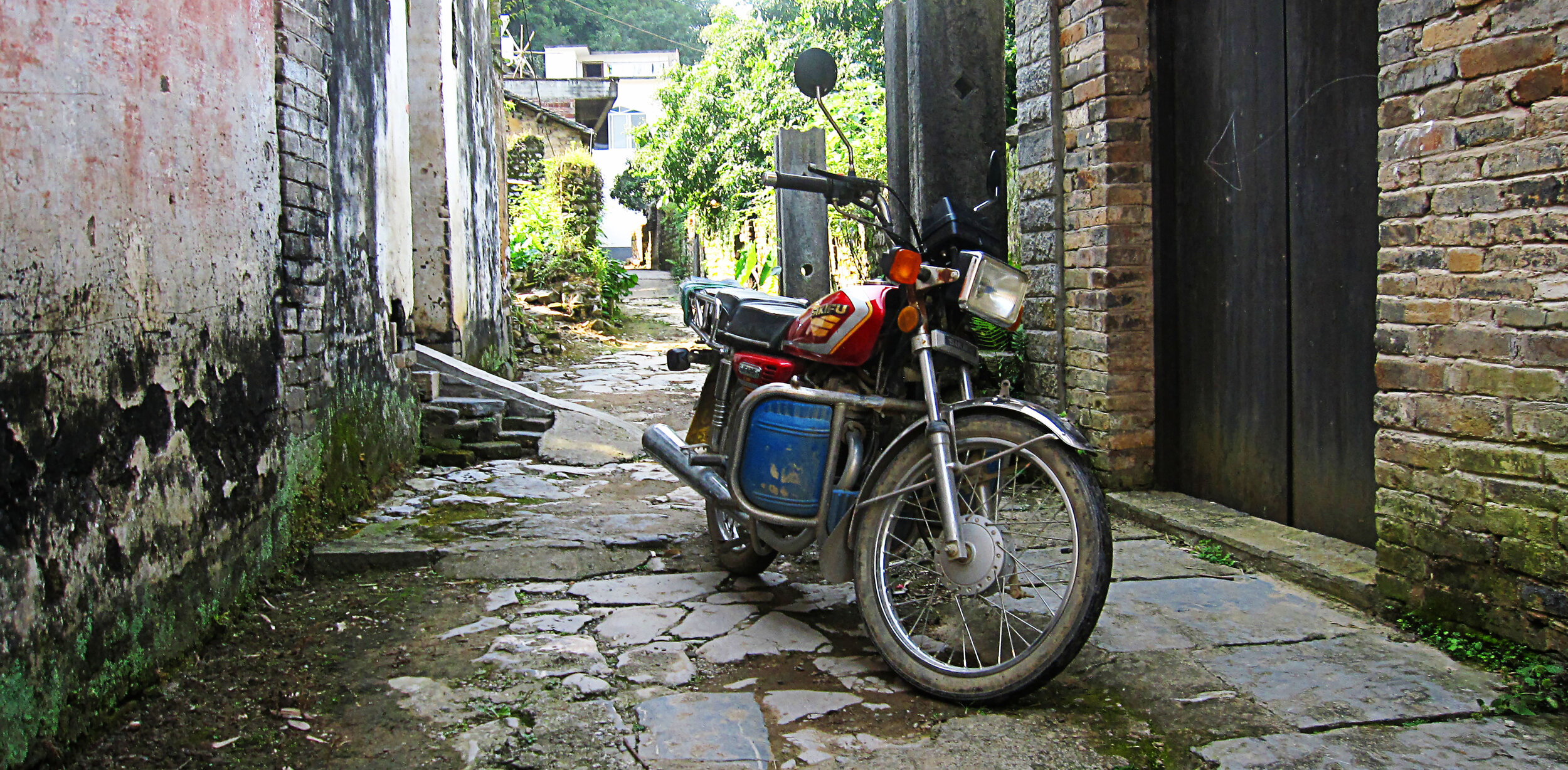 IMG_8502_2.jpg
