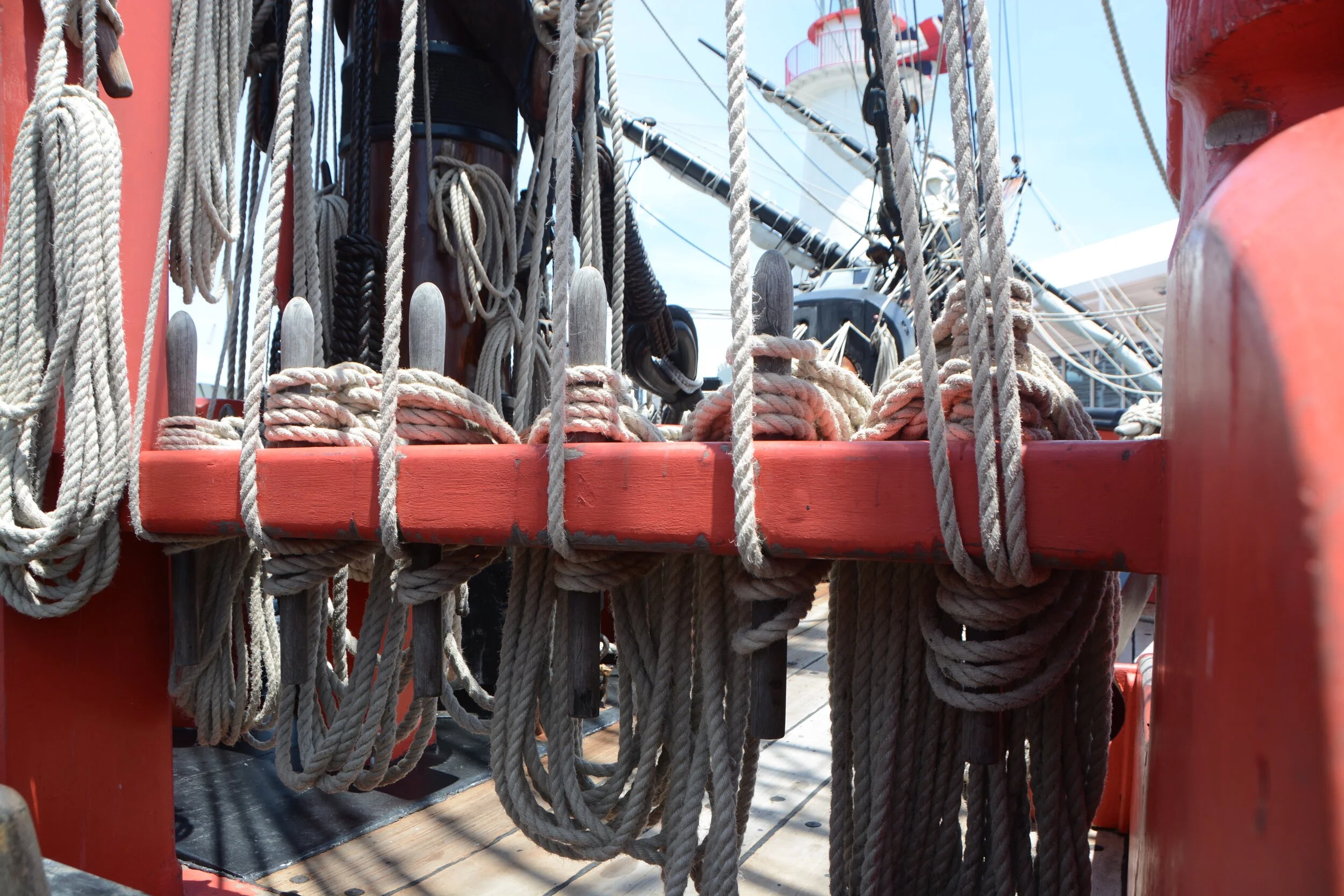 DSC_6990.jpg