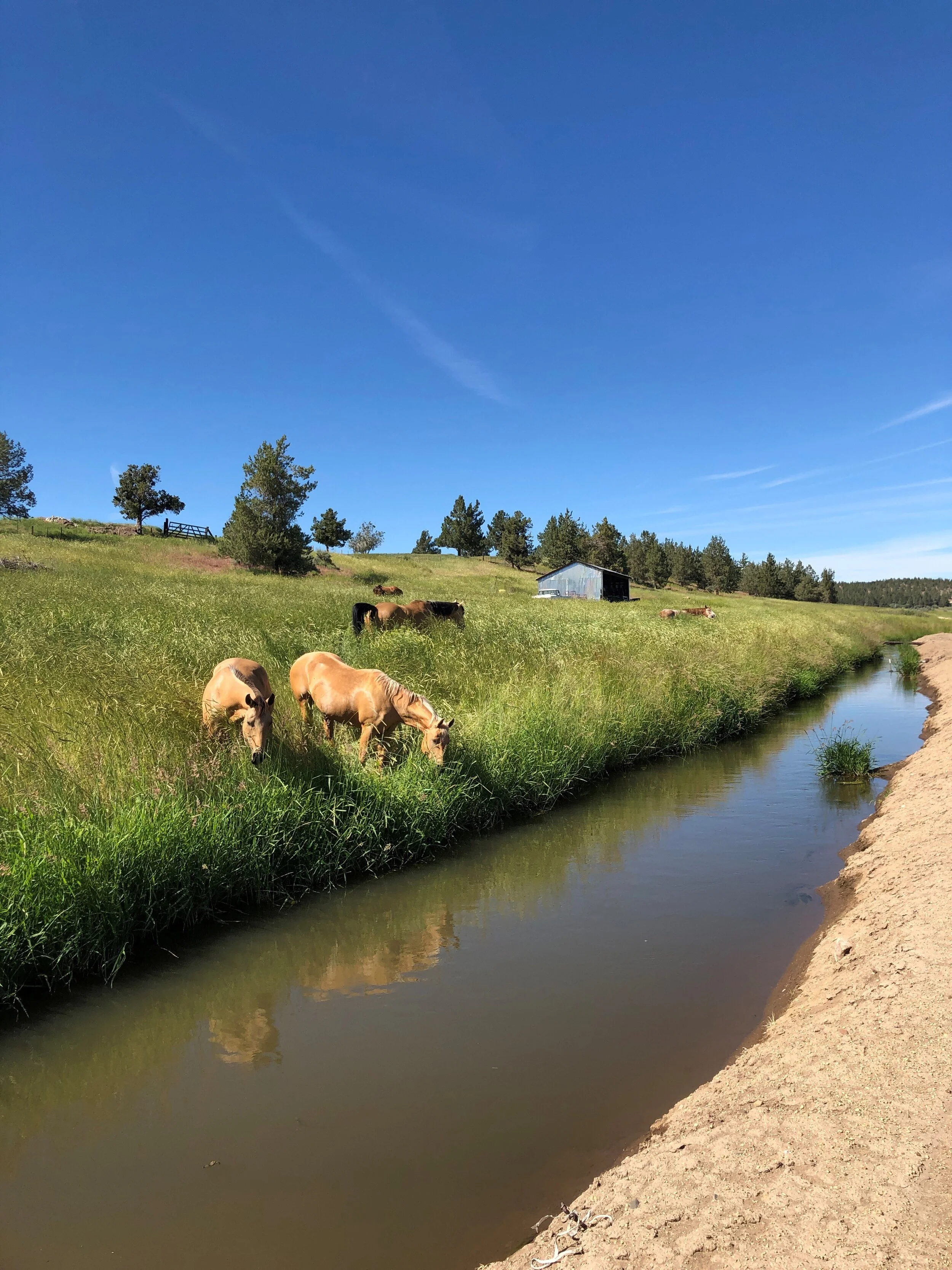 Ochoco ID PRE 6WAT 19JUN19.jpg