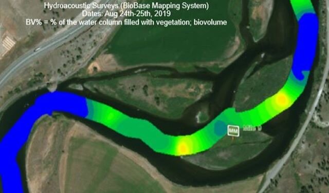 Multiband hydroacoustic surveys can also be used to identify submersed aquatic vegetation biovolumes. Interested in learning more? Contact @amaruqenvironmental