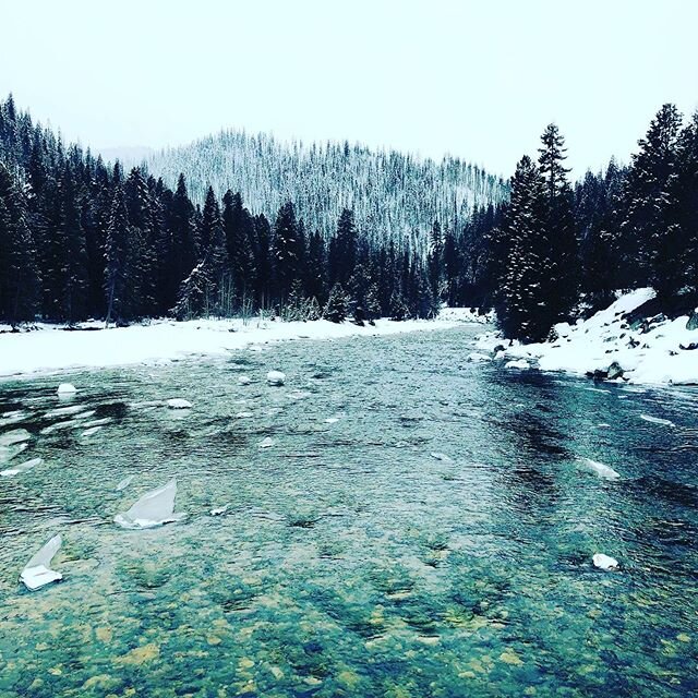 Lochsa River was looking great yesterday; inbound snow for the next few days won&rsquo;t permit too many bluebird moments like these.