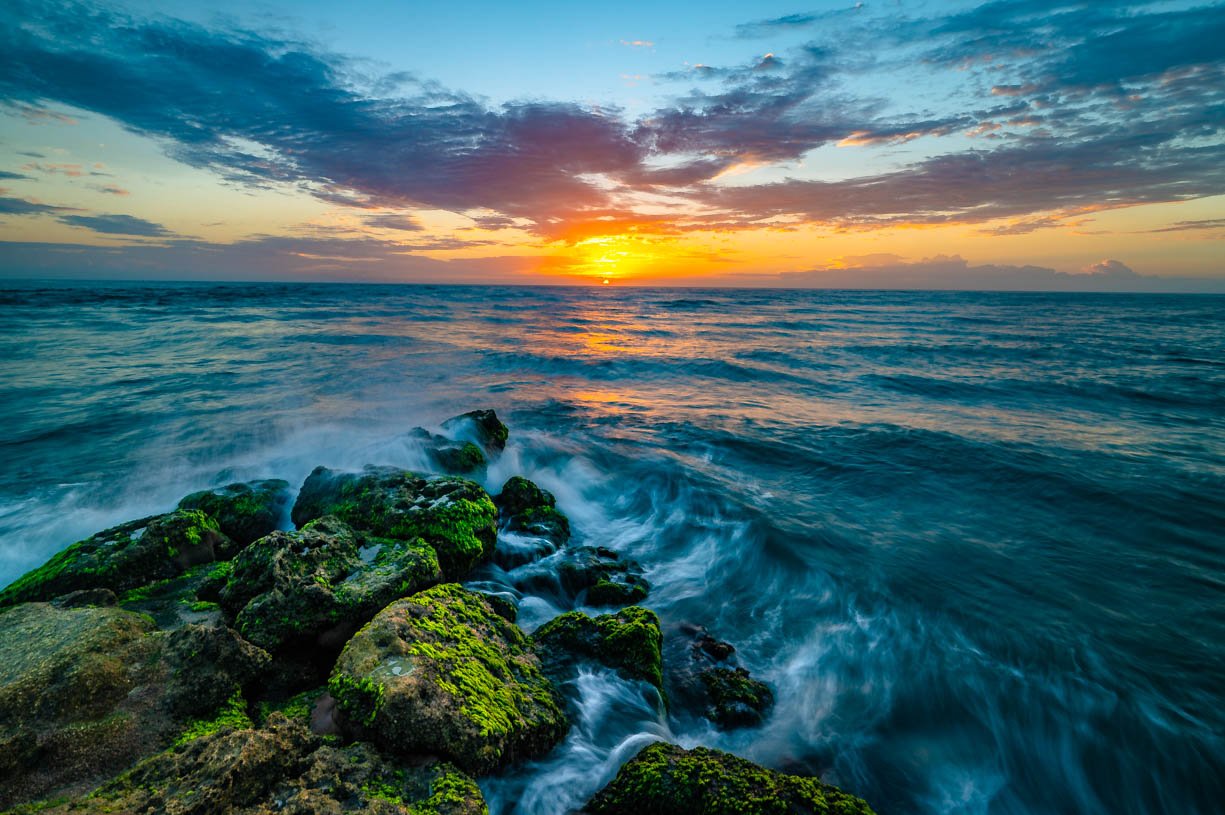 Mossy Sunrise