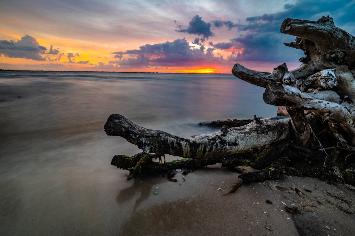 Driftwood Sunset (Variation #2)
