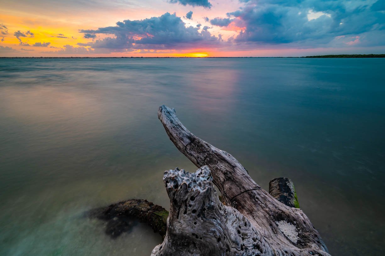 Driftwood Sunset (Variation #3)