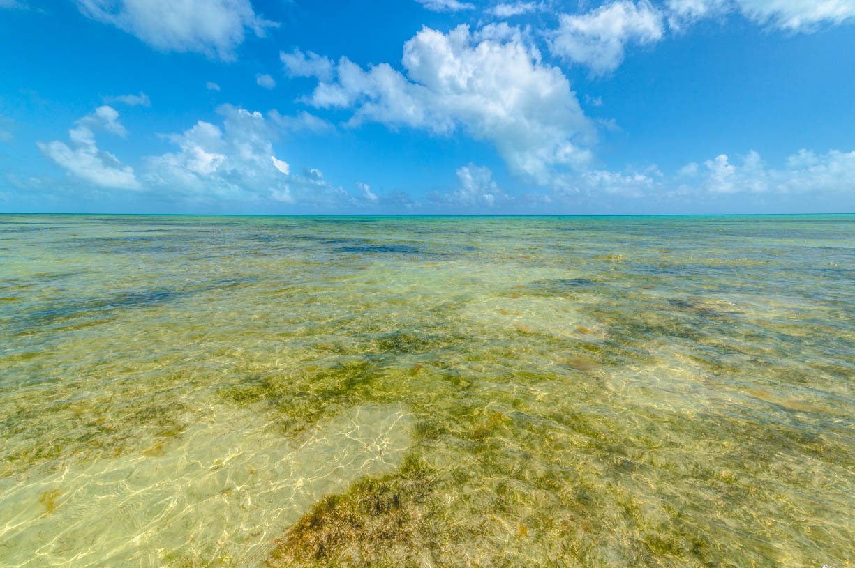 The Water of the Keys