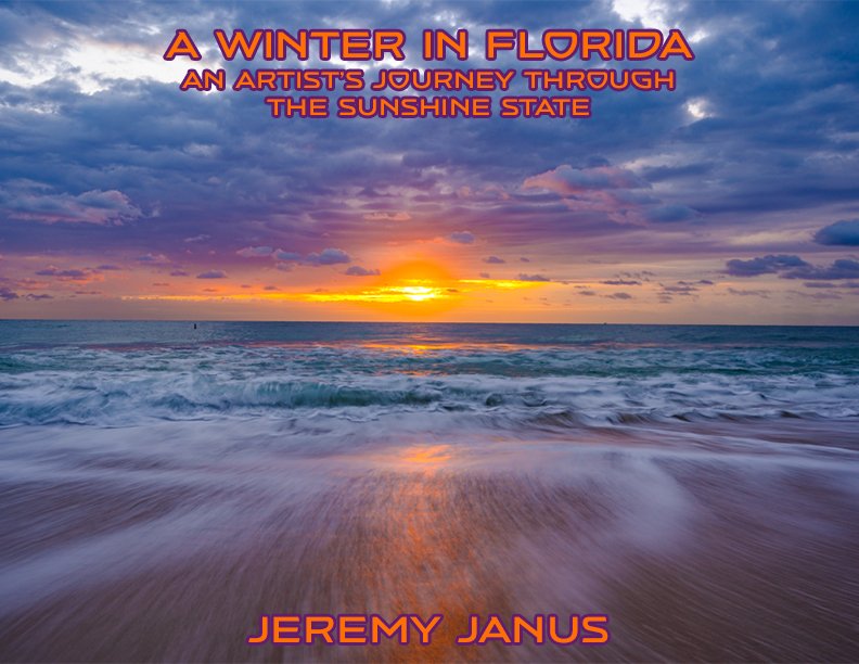 A Winter in Florida Cover.jpg
