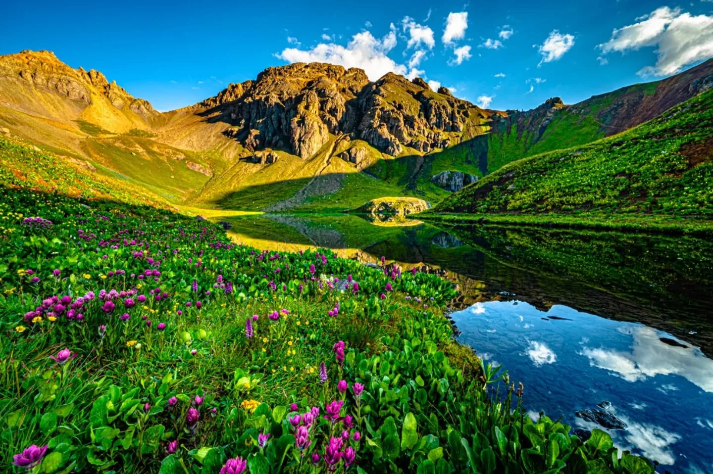 Morning reflections, lights, shadows, and wildflowers, not sure that a summer sunrise hike can get better than this.