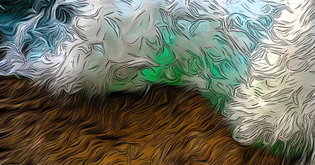 Laguna Beach Zoom.jpg