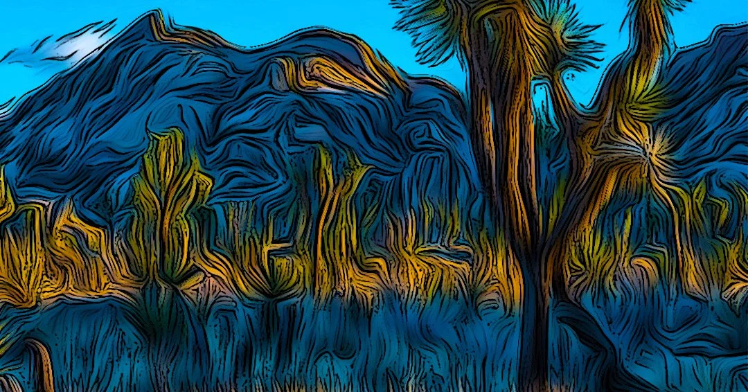 Joshua Tree Zoom.jpg