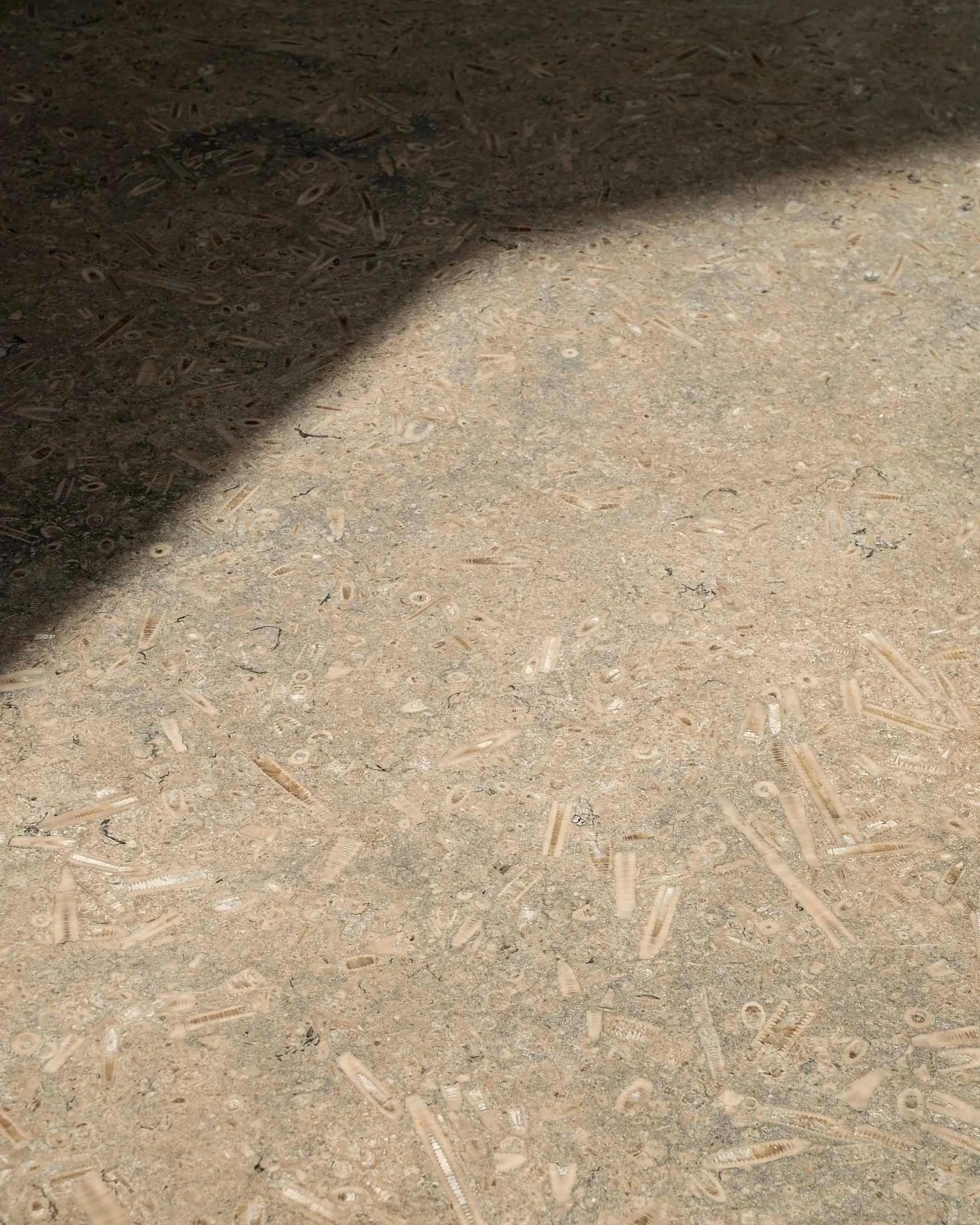 Altor dining table_Mythology_4.jpg