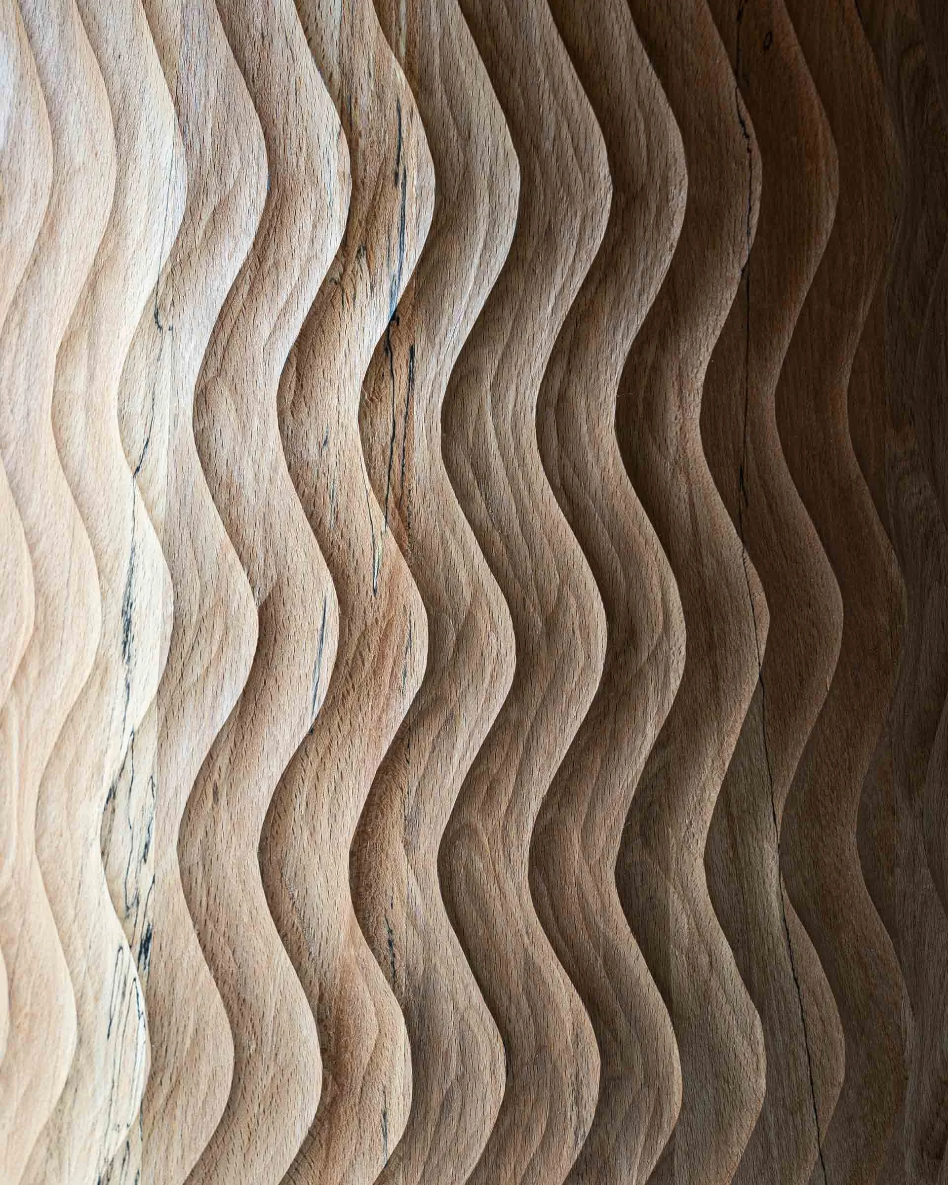 DSC03558-For Web-2.jpg