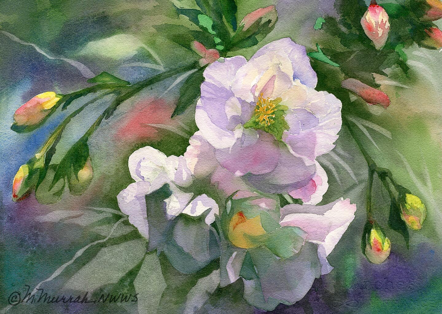 Kay's Flowers
