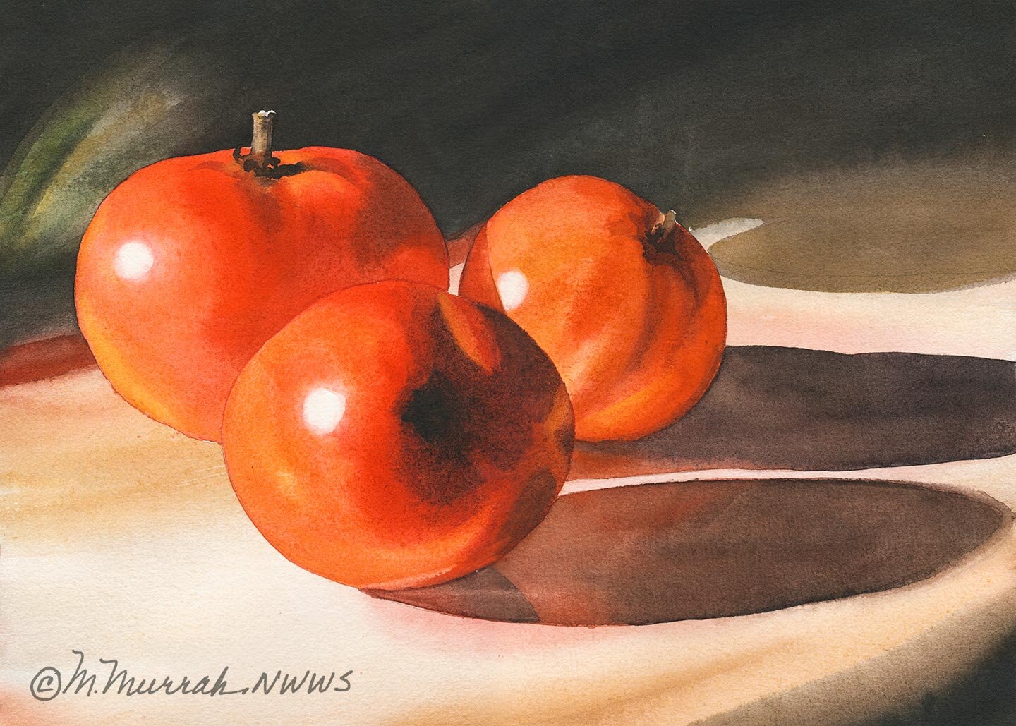 Sunlit Tomatoes 1