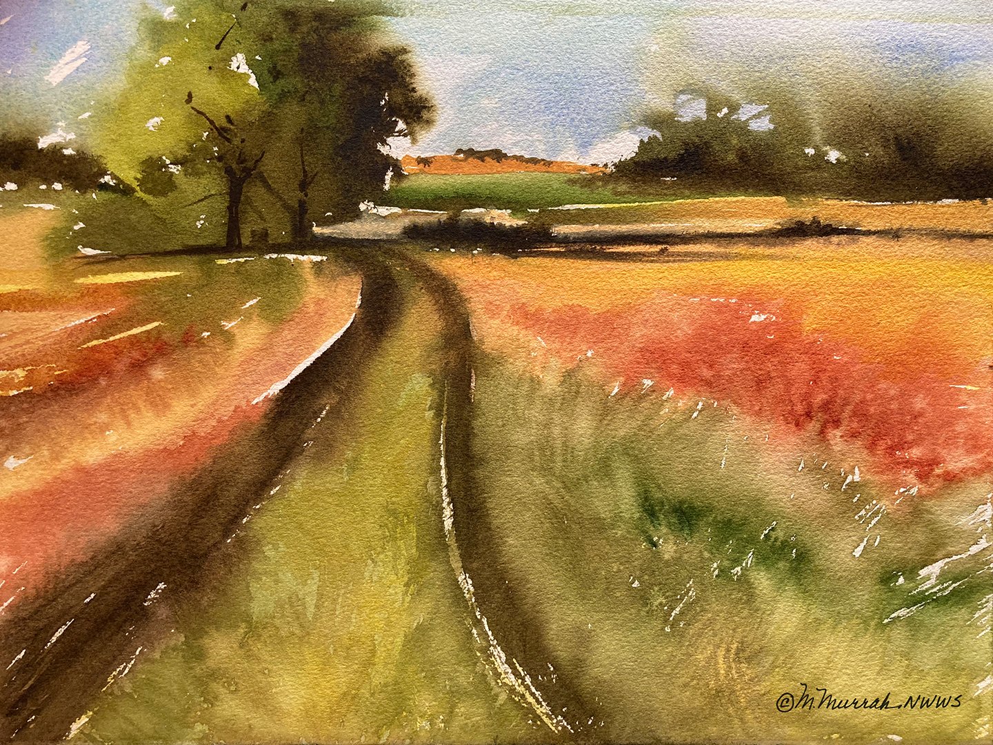 Landscape 13