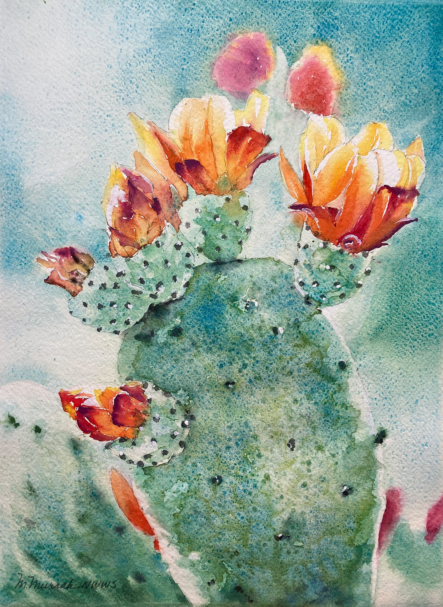 Cactus Flowers 1