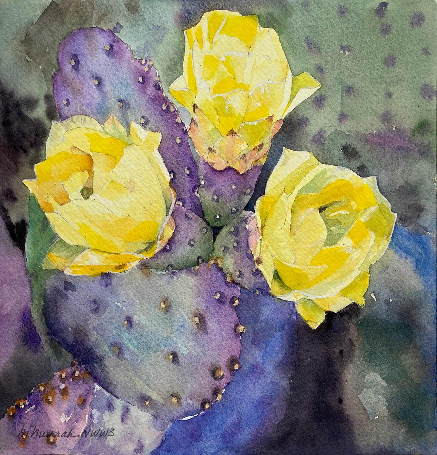 Cactus Flowers #2