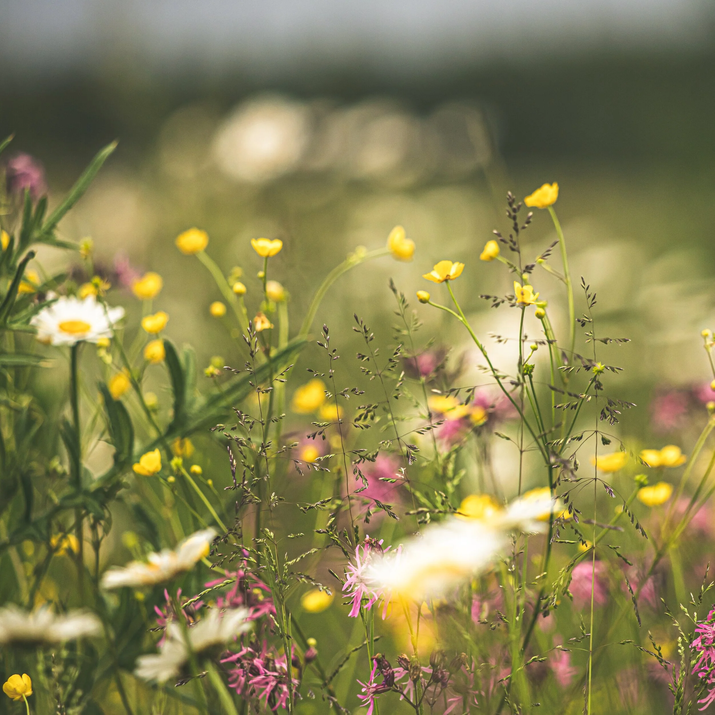 It's a Good Time to Seek God