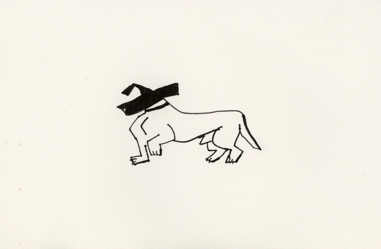 IMG_7799.PNG