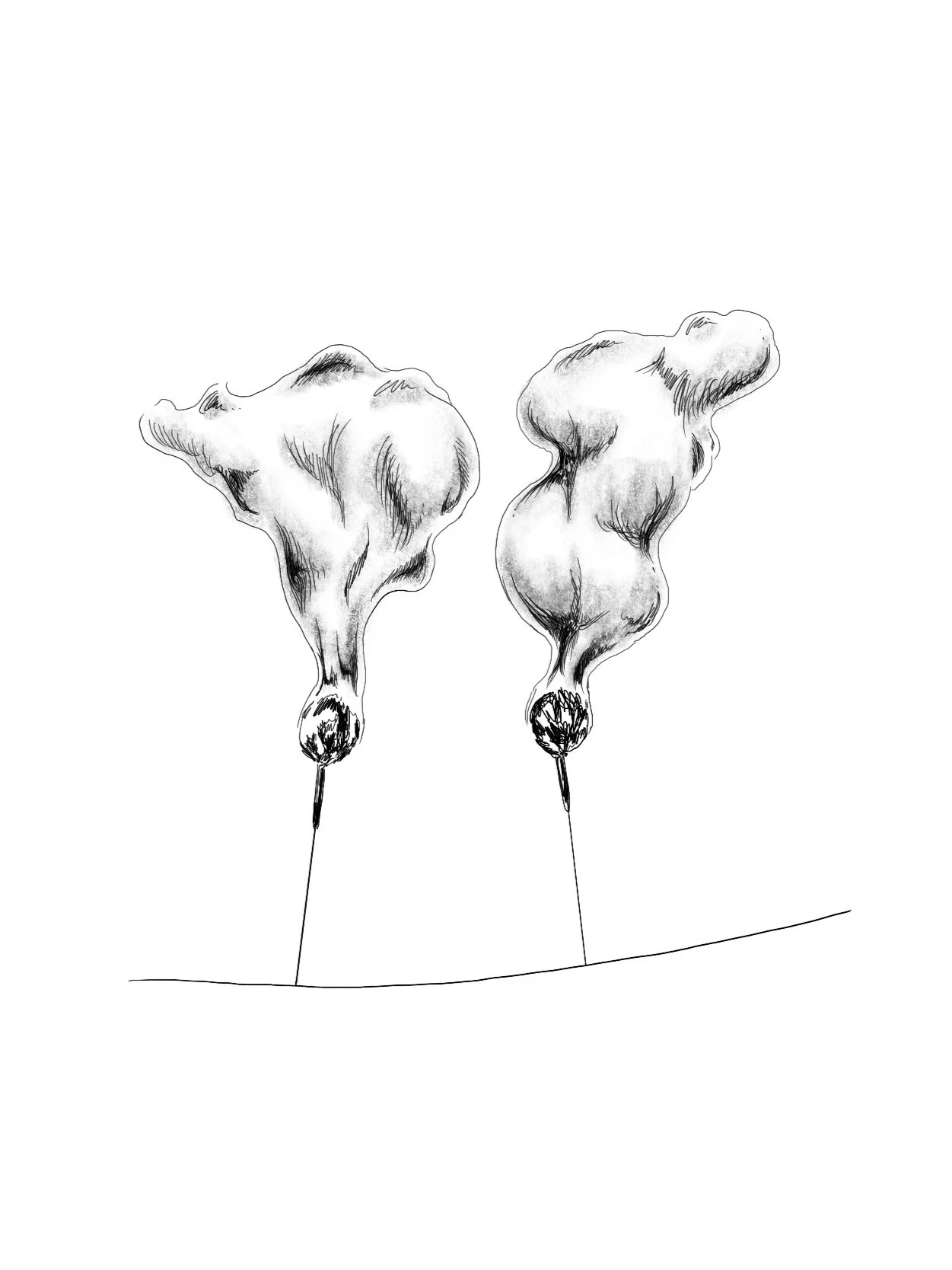 Untitled_Artwork+4.jpg