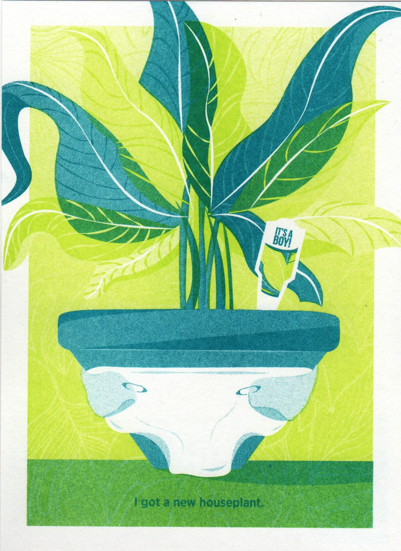 7_plant.jpg