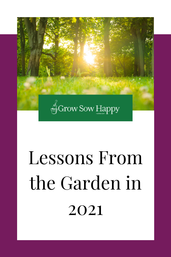 What my Garden Taught me in 2020