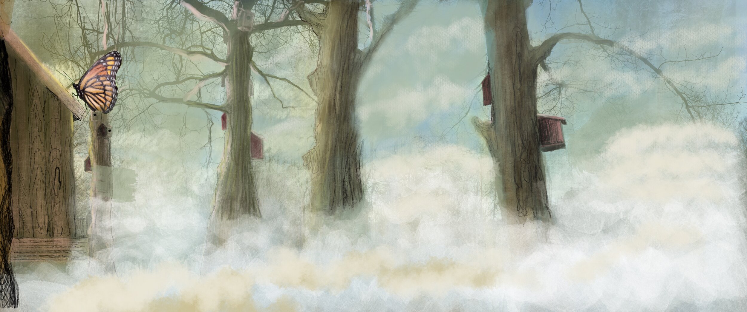 Peaceful Morning
