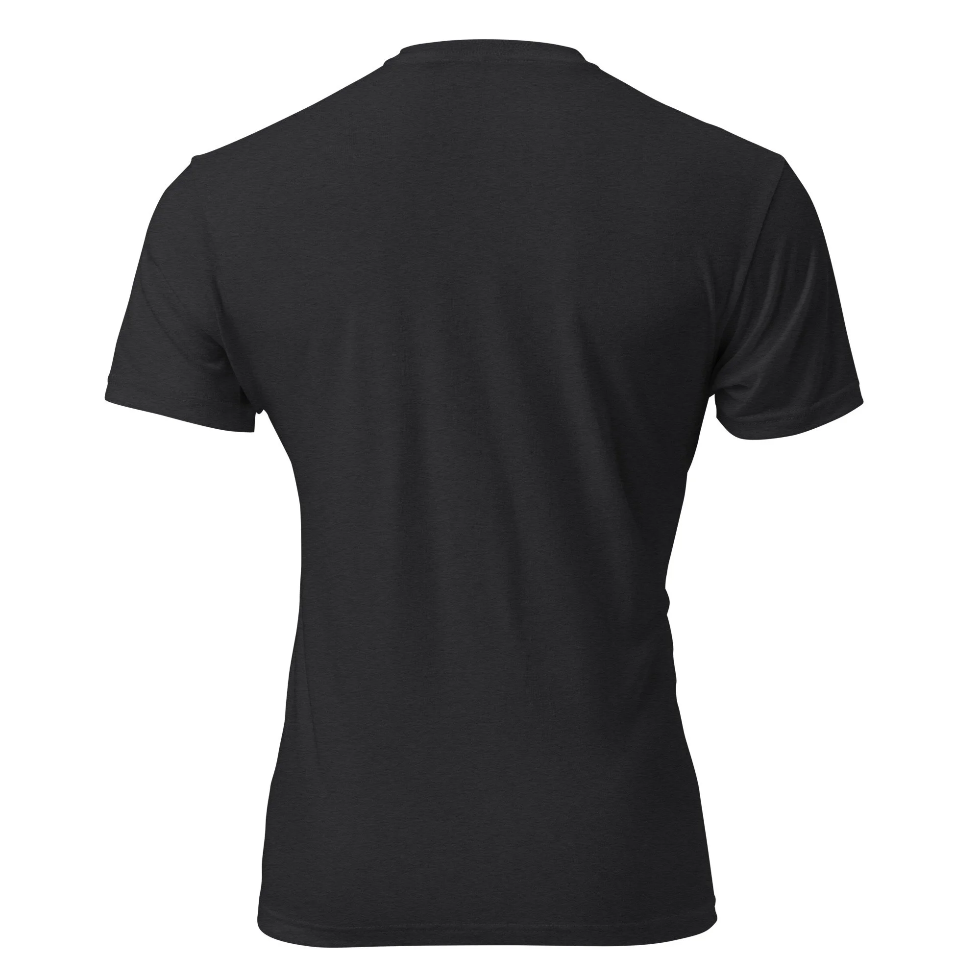 unisex-cvc-t-shirt-black-back-69dfd49cf0e71.jpg