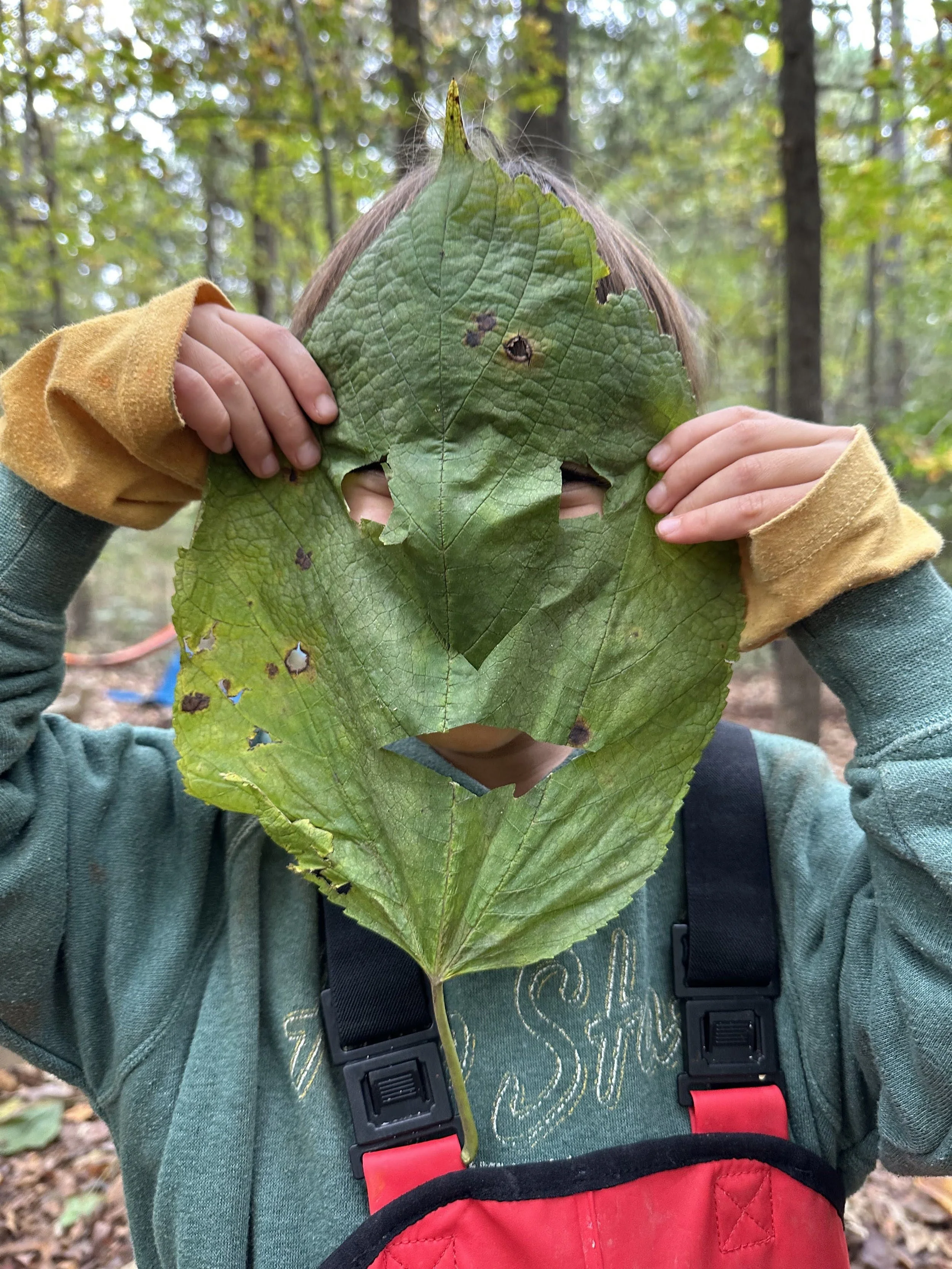 V leaf face.jpeg