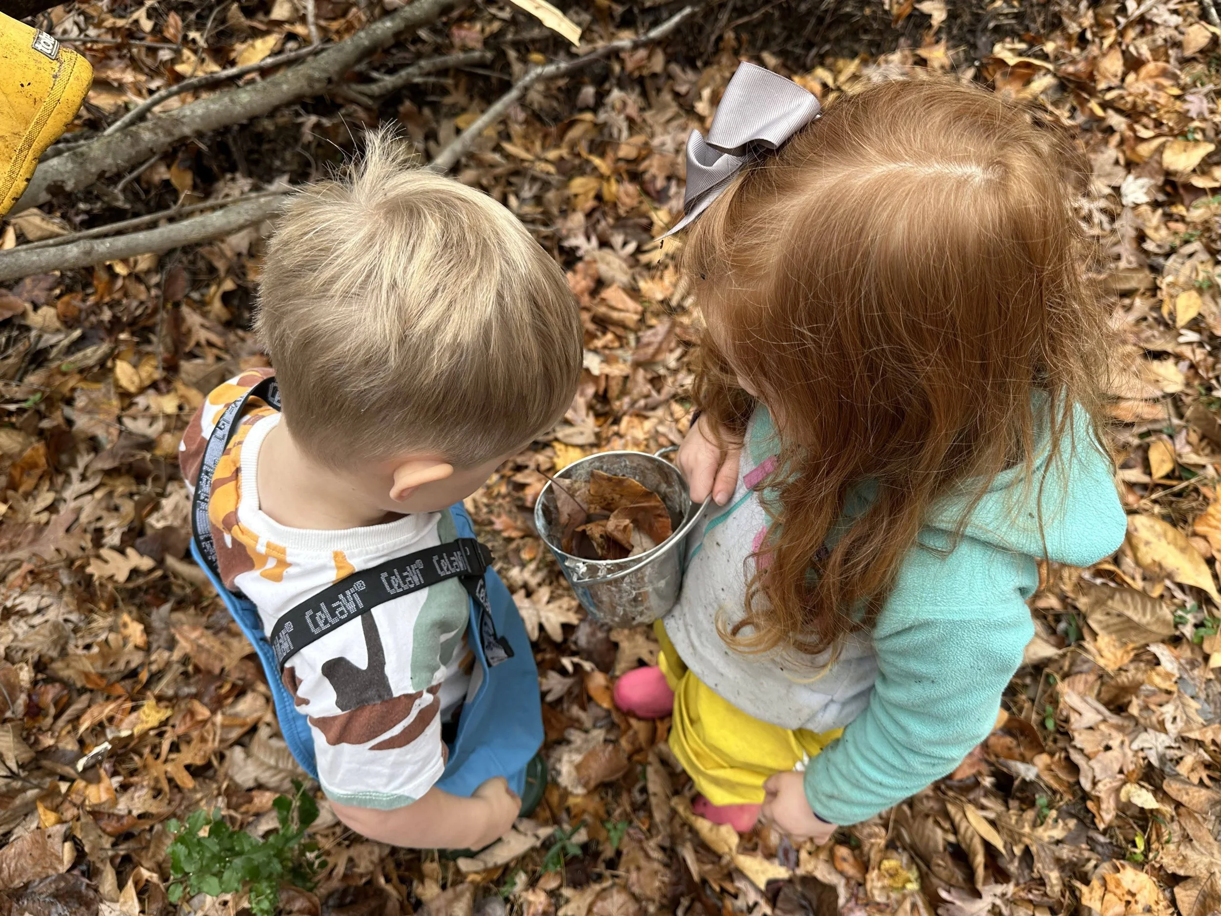 H bucket viewing.jpeg