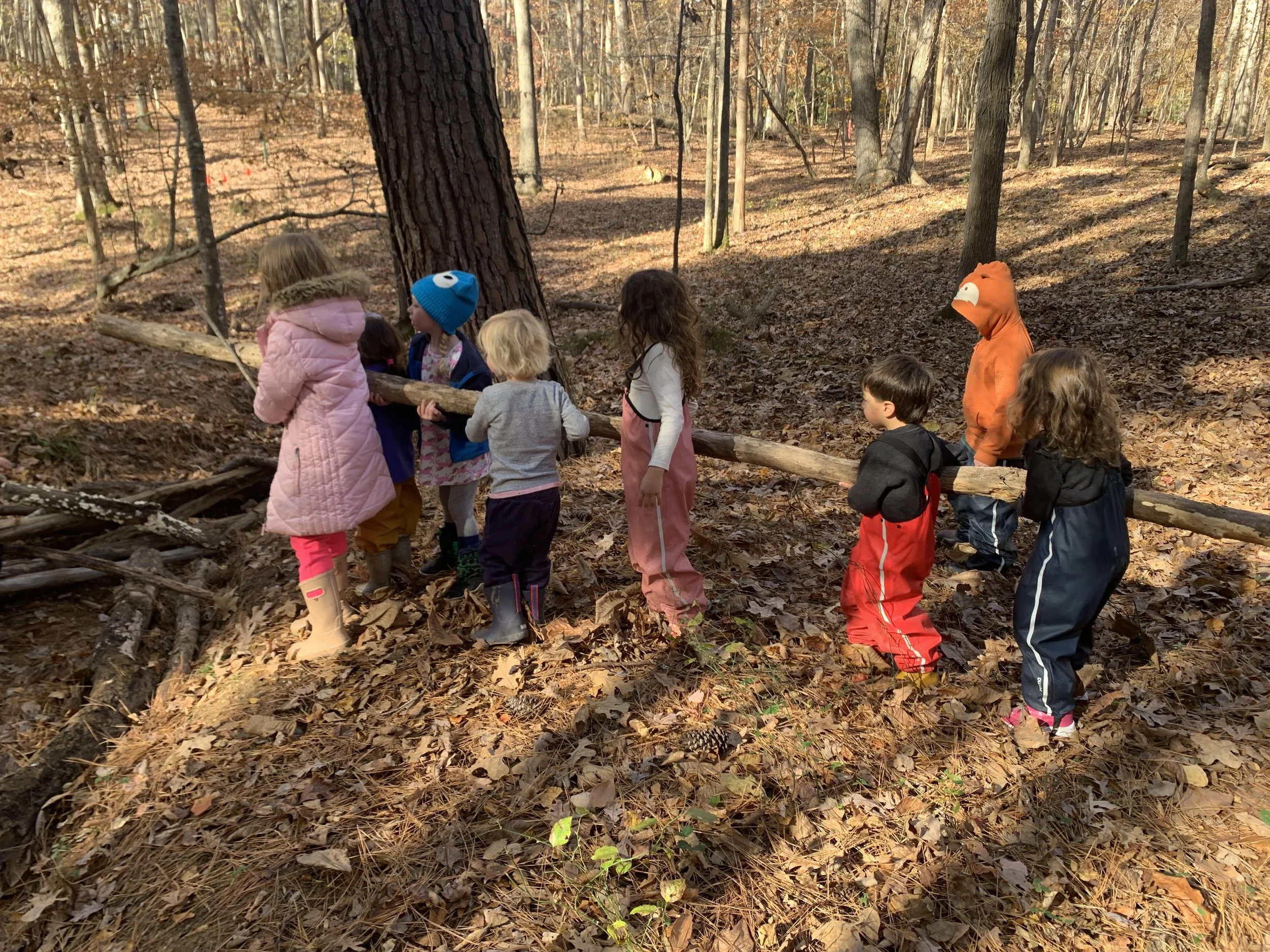 Group moving log mixed age.jpeg