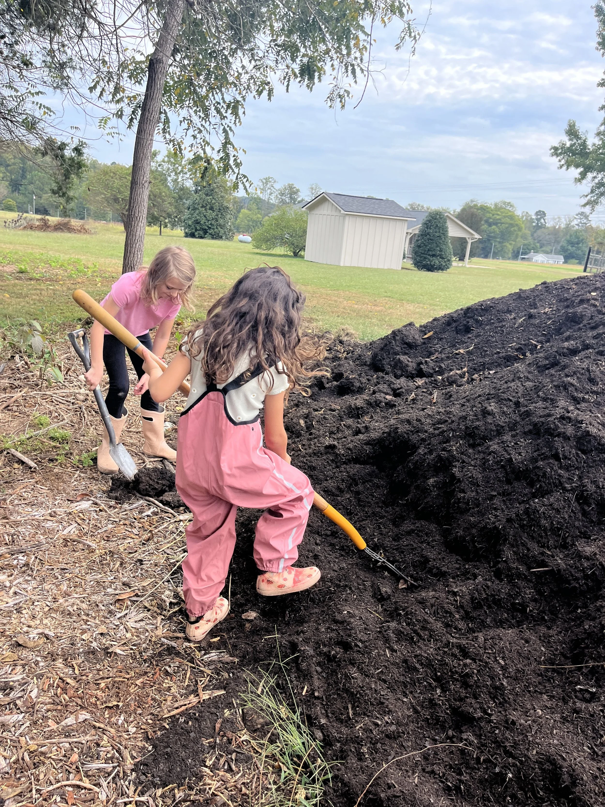 V shoveling compost blue jays.JPG