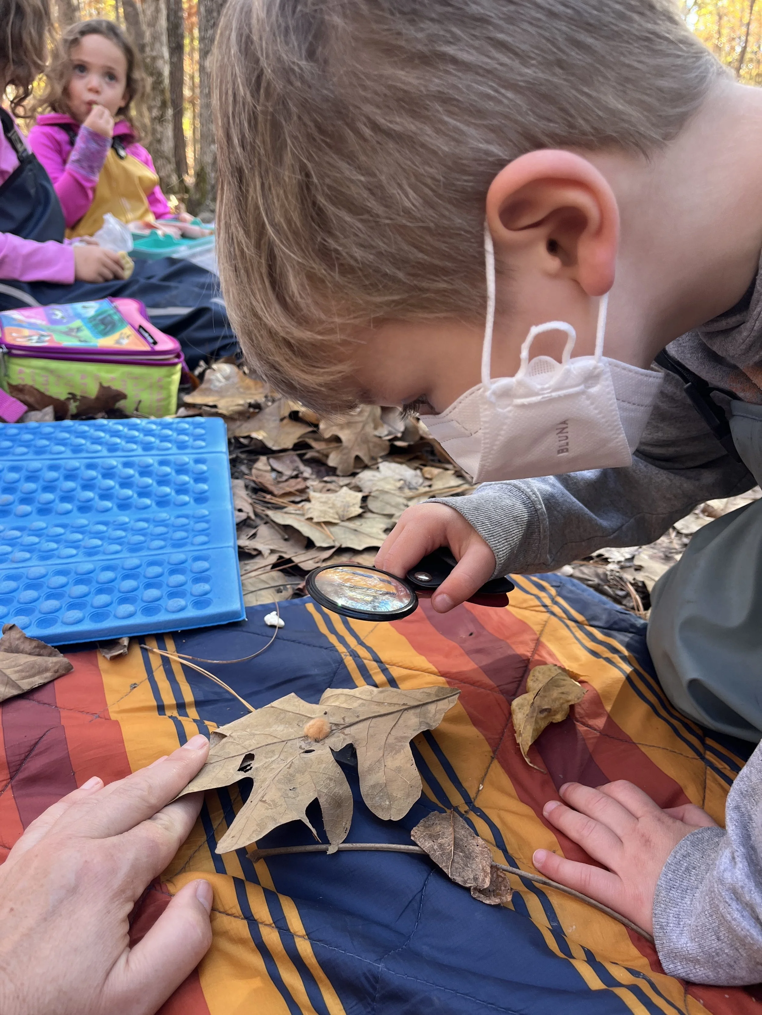 V Leaf scientist.JPG