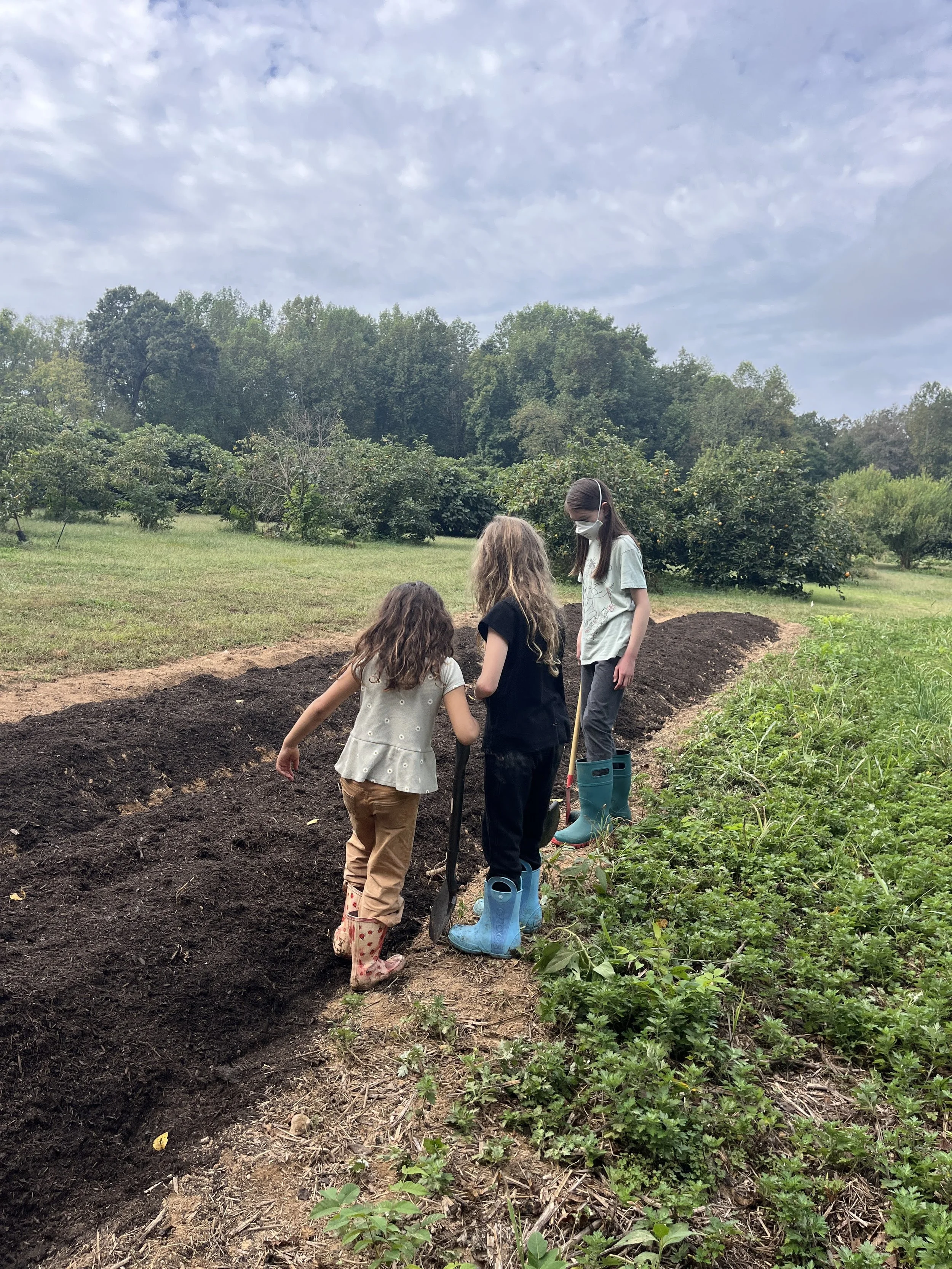 V Big kid garden.JPG